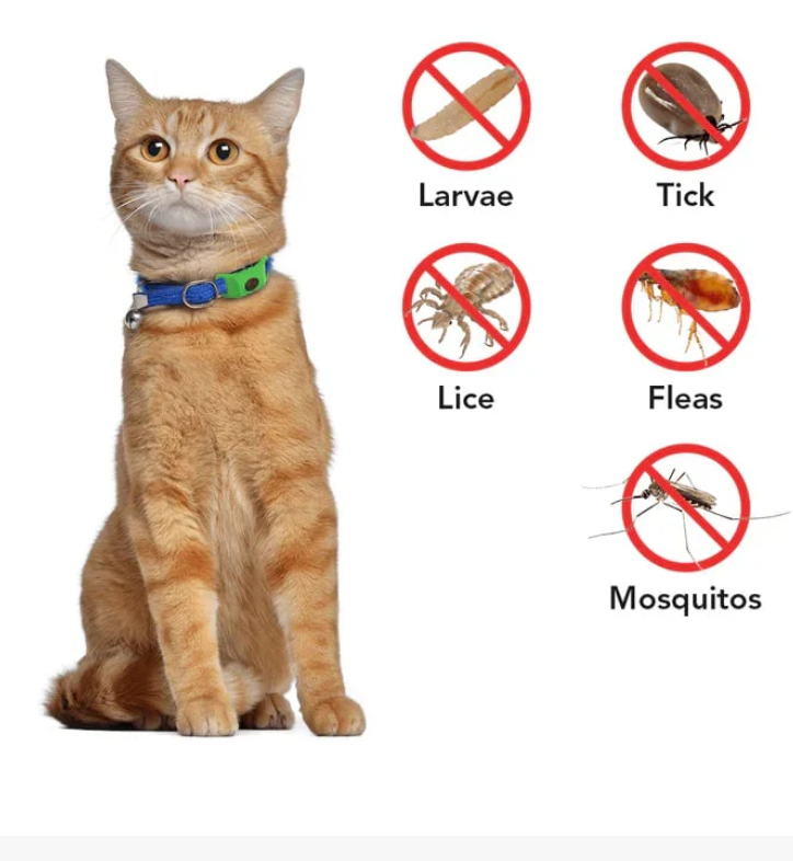 ⏰Last Day 60% OFF-🐕3 Months Flea and Tick Free