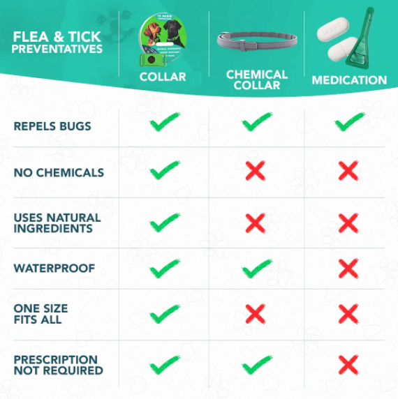 ⏰Last Day 60% OFF-🐕3 Months Flea and Tick Free