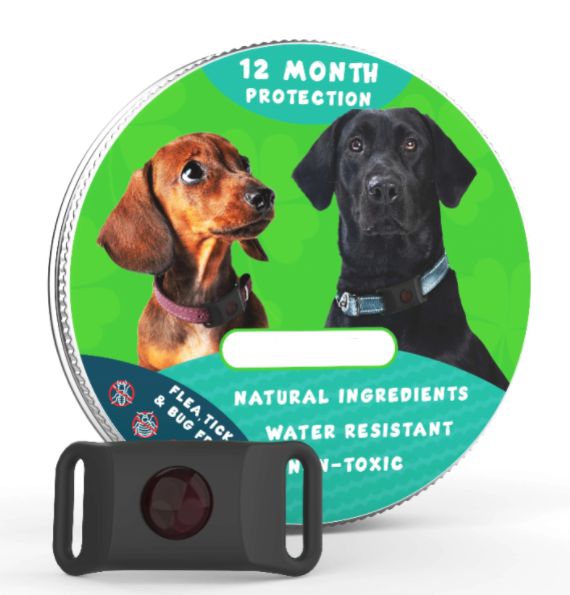 ⏰Last Day 60% OFF-🐕3 Months Flea and Tick Free