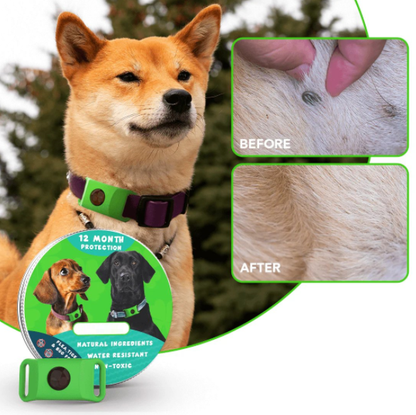 ⏰Last Day 60% OFF-🐕3 Months Flea and Tick Free