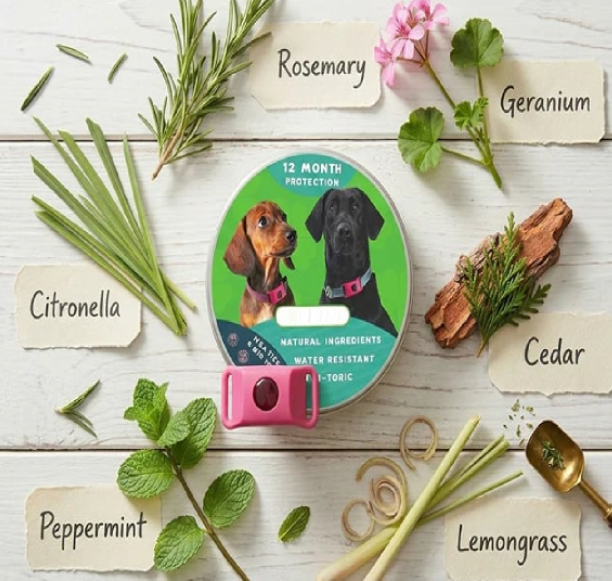 ⏰Last Day 60% OFF-🐕3 Months Flea and Tick Free