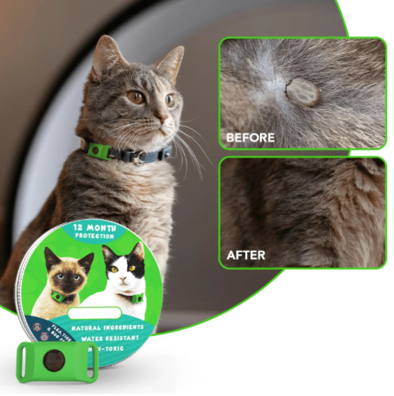 ⏰Last Day 60% OFF-🐕3 Months Flea and Tick Free