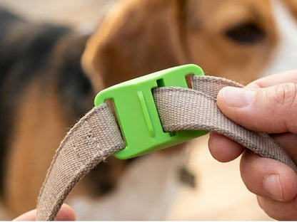 ⏰Last Day 60% OFF-🐕3 Months Flea and Tick Free