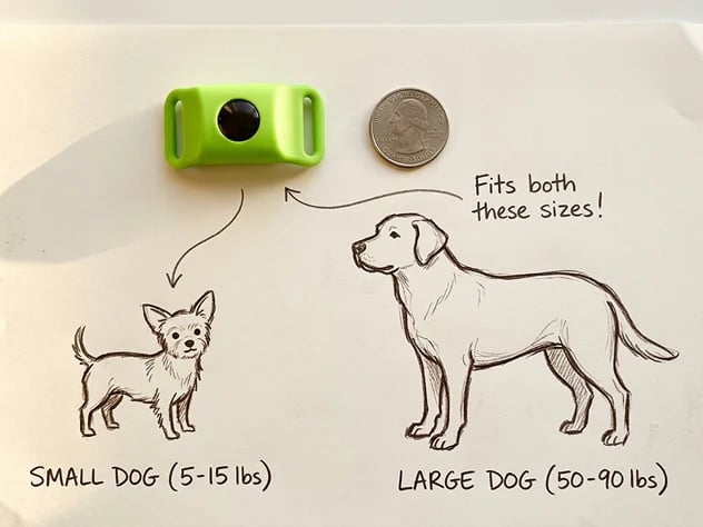 ⏰Last Day 60% OFF-🐕3 Months Flea and Tick Free