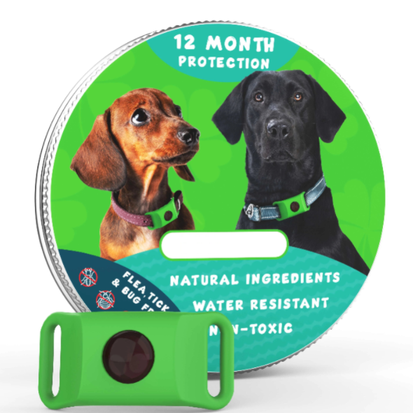 ⏰Last Day 60% OFF-🐕3 Months Flea and Tick Free