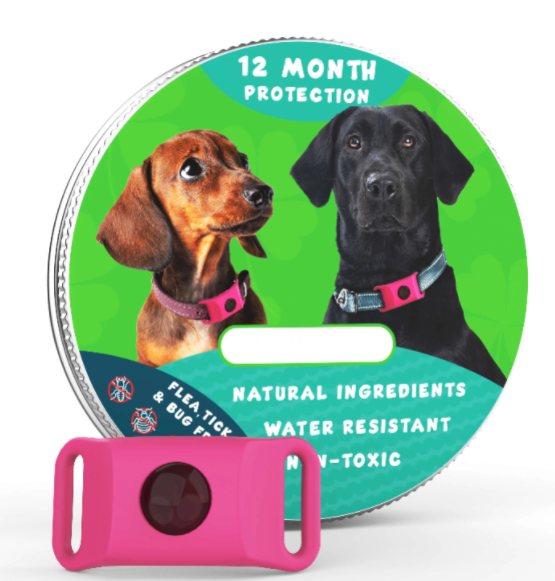 ⏰Last Day 60% OFF-🐕3 Months Flea and Tick Free